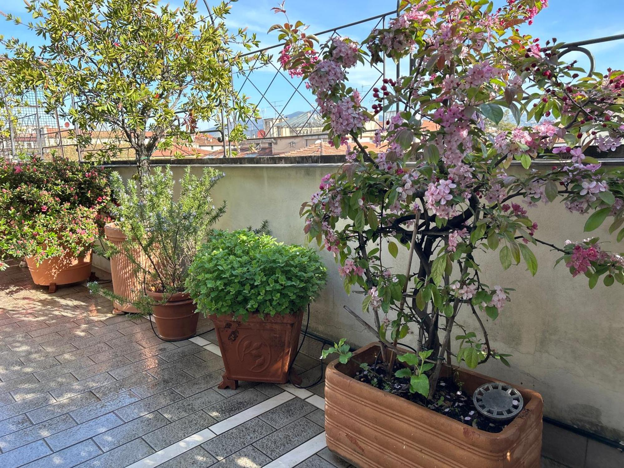 Cherubini Apartamento Florença